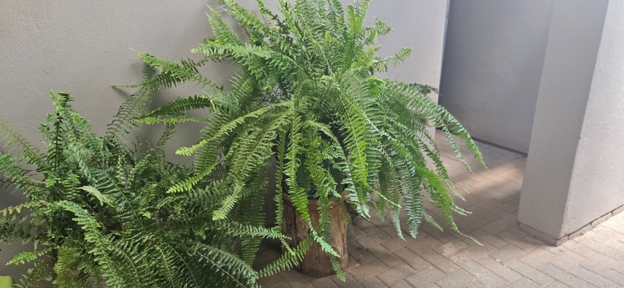 4 Bedroom Property for Sale in Fichardt Park Free State